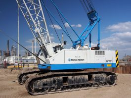 CC by Alf van Beem Wikipedia