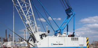 CC by Alf van Beem Wikipedia