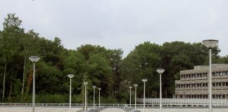 Public Domain